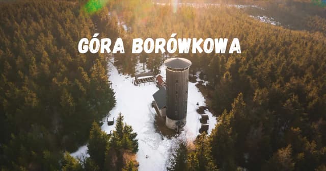 Jak dojść na Borówkową Górę - łatwe trasy i przydatne wskazówki